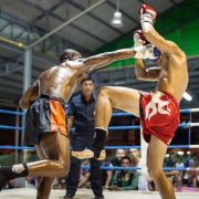 Why You Should Learn Muay Thai In Today?