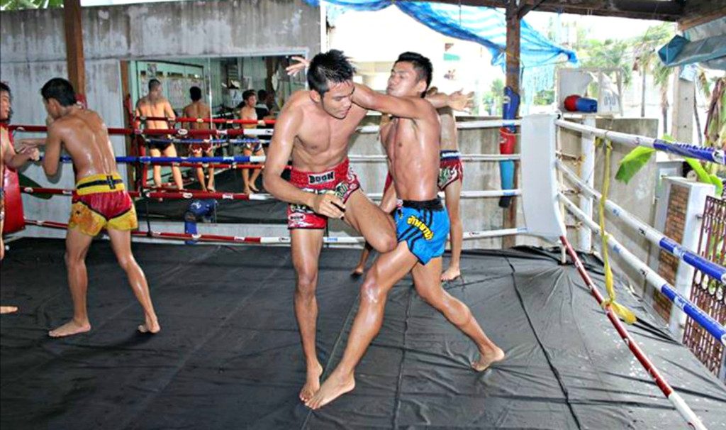 The Potential Of Online Market For Muay Thai Camp and Gym In Thailand Business