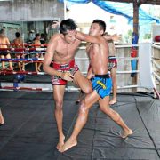 The Potential Of Online Market For Muay Thai Camp and Gym In Thailand Business